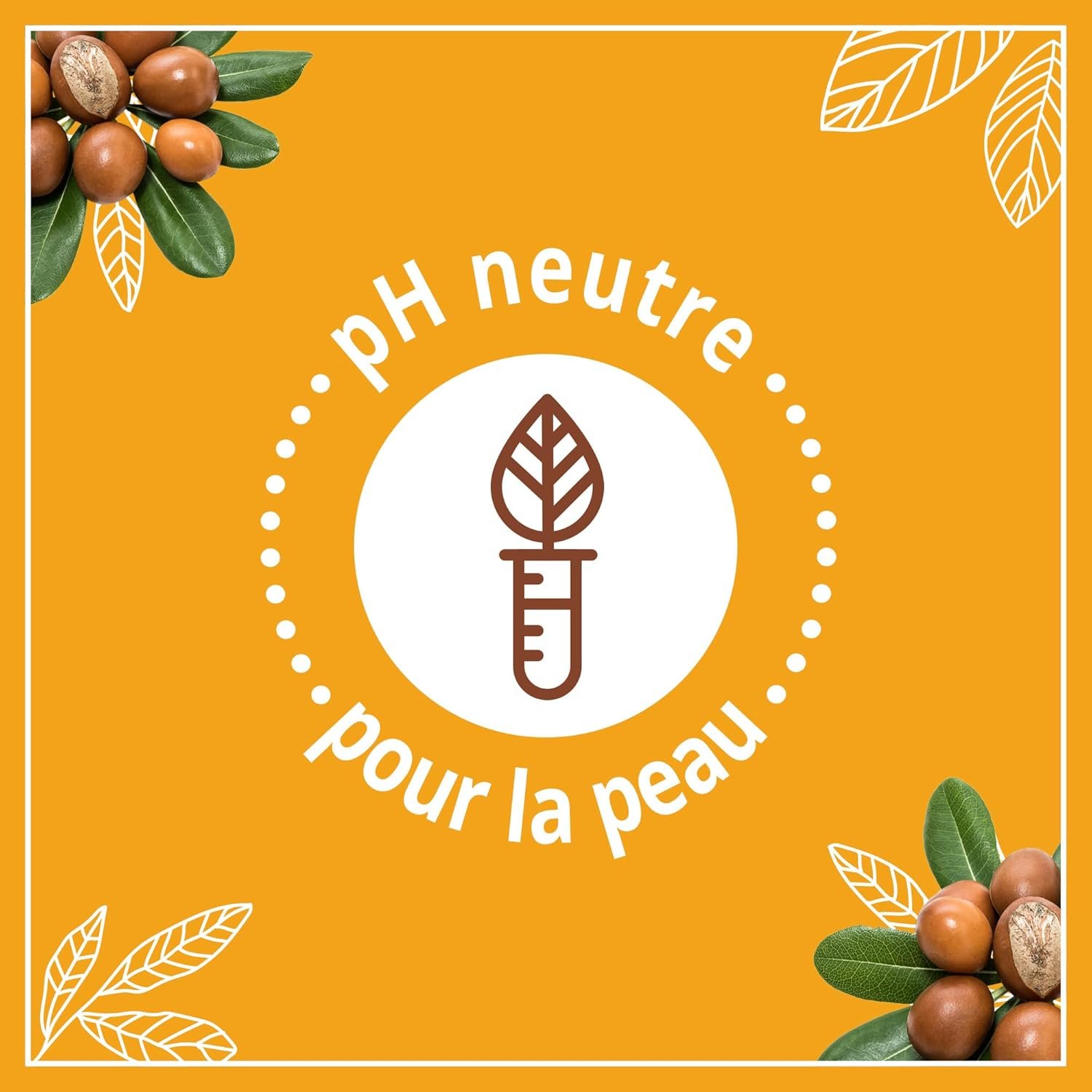 Le Petit Marseillais | Lait Soin Hydratant Nutrition Peaux Très Sèches (flacon-pompe de 250 ml) – Lait corps au beurre de karité, amande douce et huile d'argan – 24 h de confort cutané – Image 5