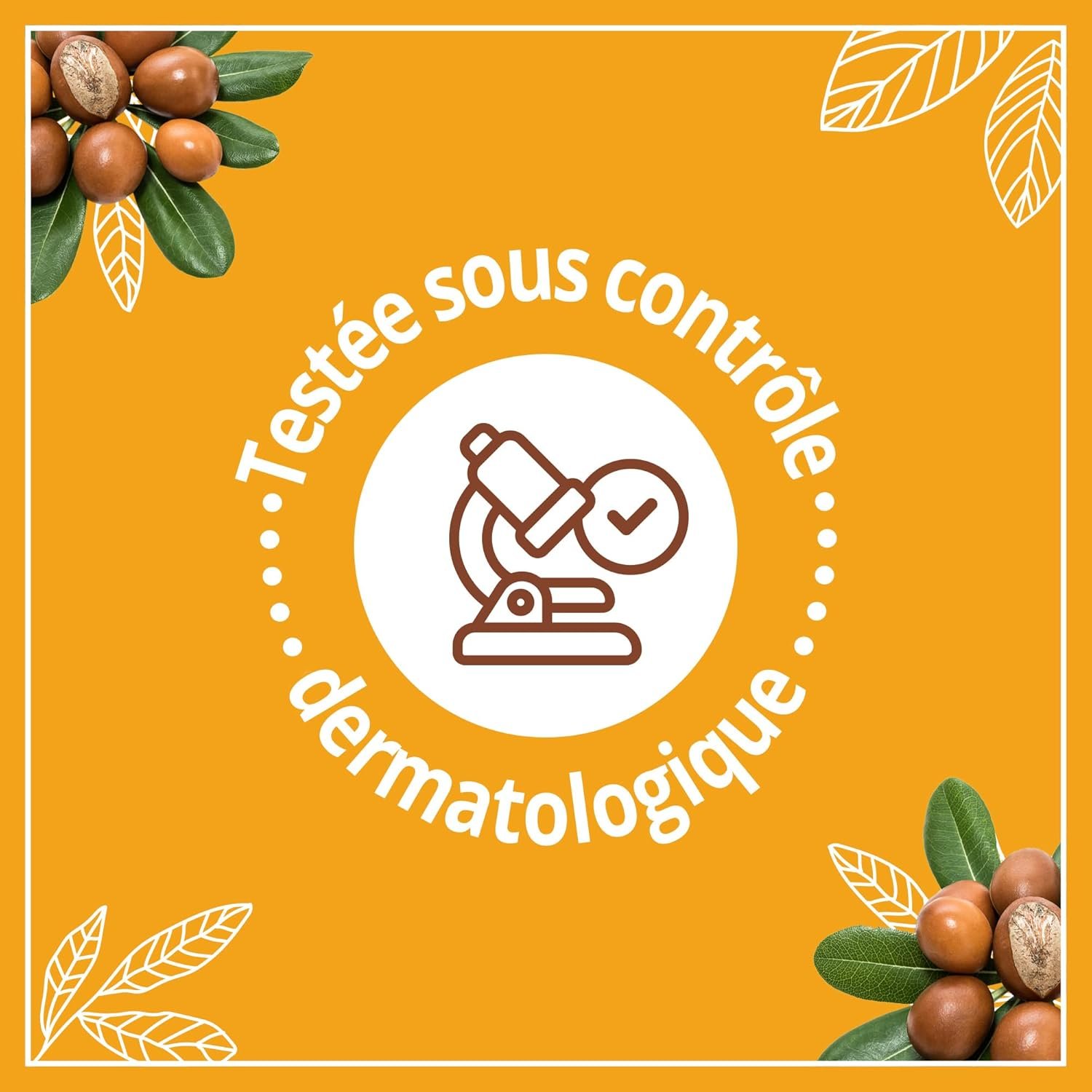 Le Petit Marseillais | Lait Soin Hydratant Nutrition Peaux Très Sèches (flacon-pompe de 250 ml) – Lait corps au beurre de karité, amande douce et huile d'argan – 24 h de confort cutané – Image 3