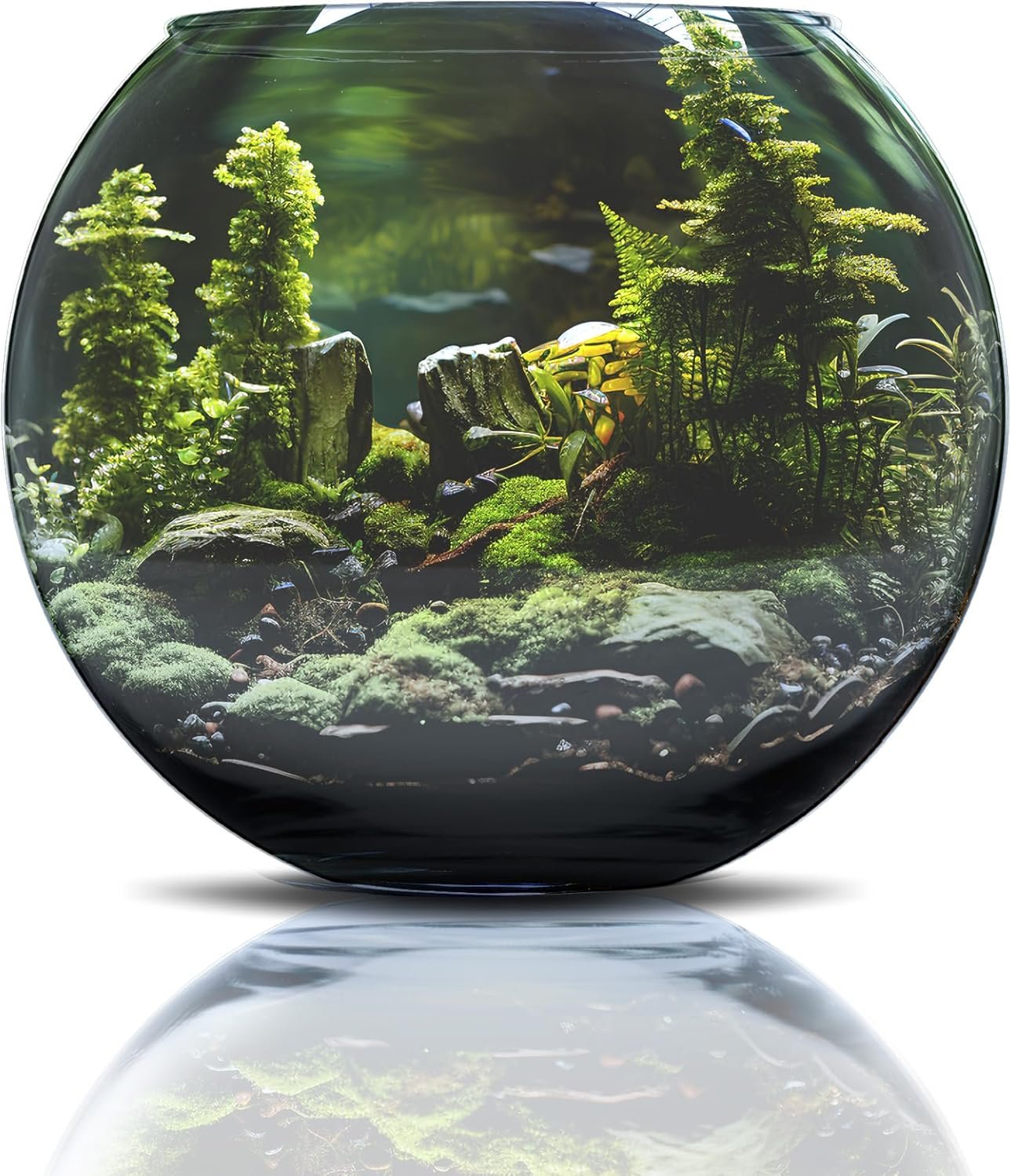 Amtra Crystal Globe - Fishbowl en Verre Transparent, Goldfish Aquarium, Soufflé Bouche, 30 cm – Image 4